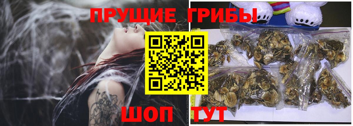 Псилоцибиновые грибы ЛСД Камышлов