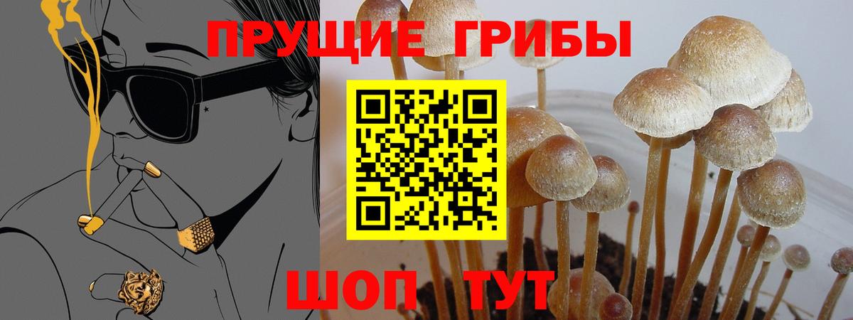 Галлюциногенные грибы Cubensis  Вход с VPN  даркнет сайт  Галлюциногенные грибы ЛСД  Камышлов 